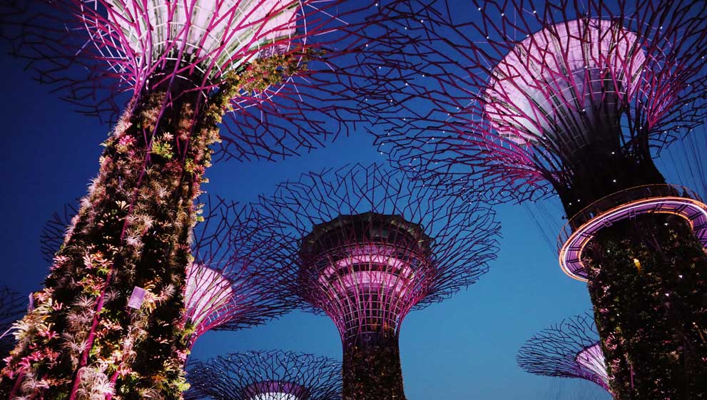 Stunning Stainless Steel pavilion at Singapore's Gardens by the Bay